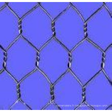 Electric / Hot-DIP Galvanizedwire Mesh Fence (chaînette)